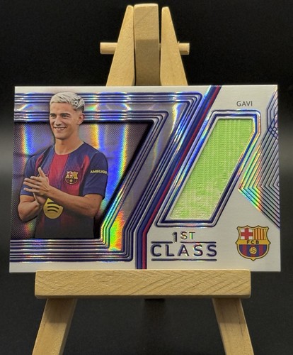 Patch gavi 2025 - gavi, futera